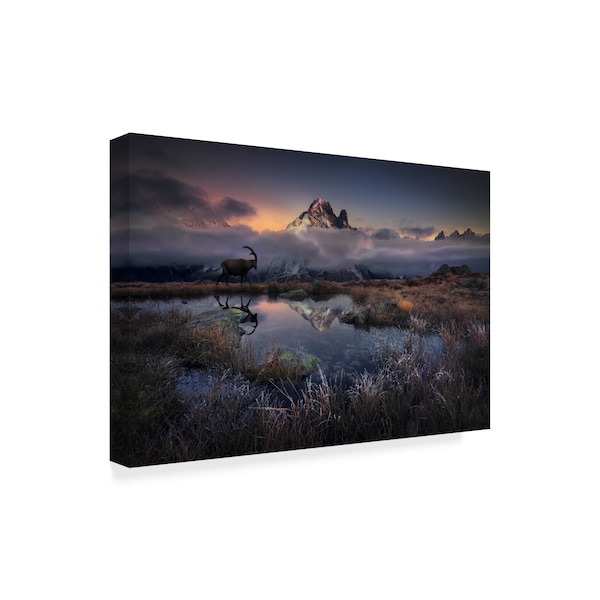 Martin Dodrv 'Evening Walk' Canvas Art,16x24